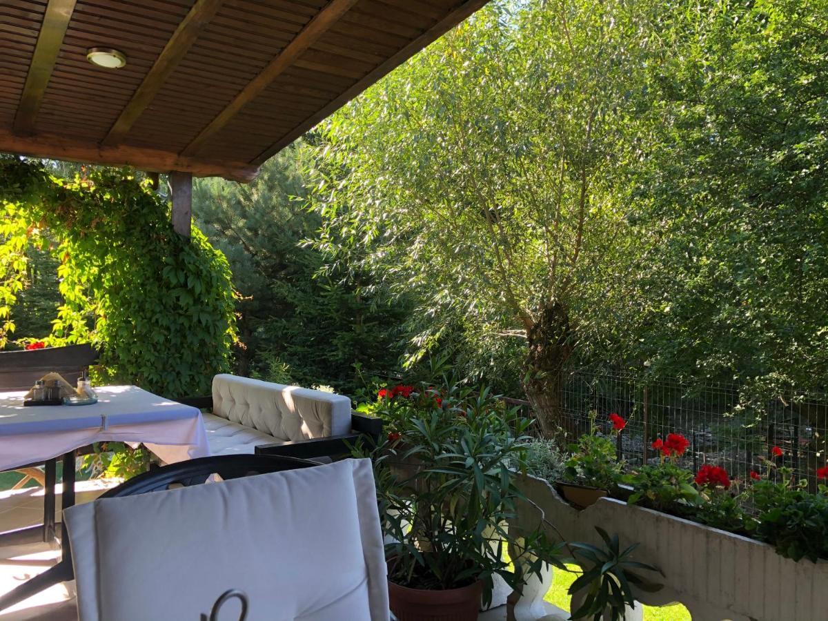 Hotel Boutique Garden Resort By Brancoveanu Alsómoécs Kültér fotó